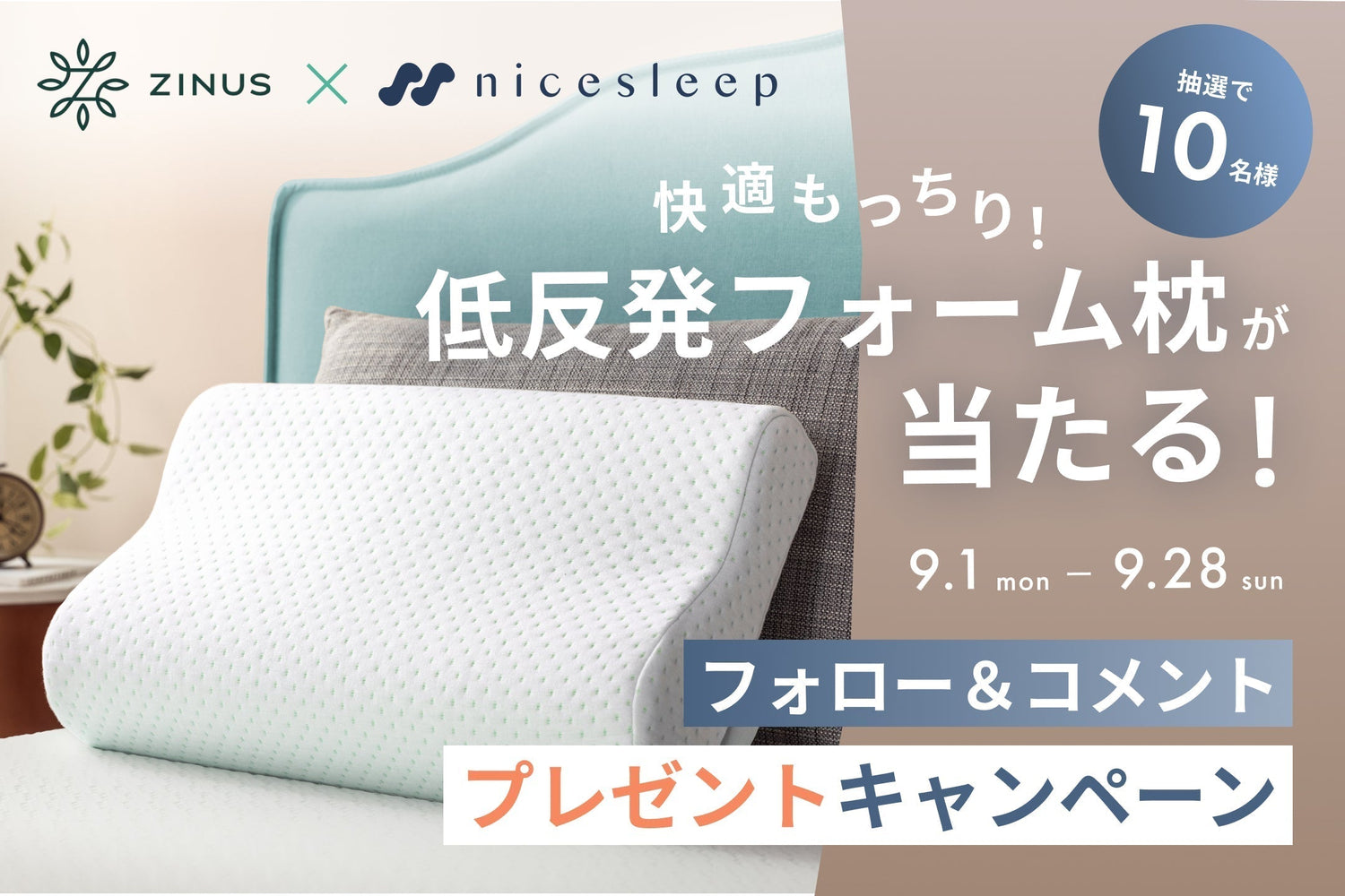 【プレゼントキャンペーン】Instagramフォロー＆コメントでGreenTea 枕が当たる！