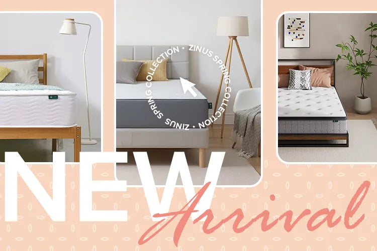 新着アイテム New arrival 2025 - ZINUS ジヌス